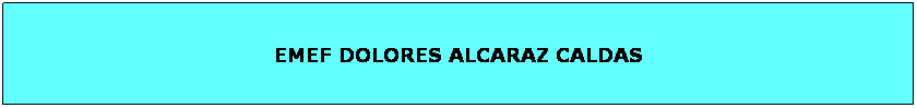 Caixa de texto: EMEF DOLORES ALCARAZ CALDAS
