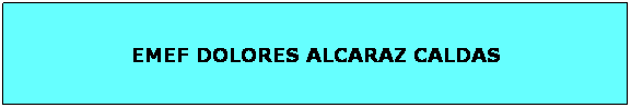 Caixa de texto: EMEF DOLORES ALCARAZ CALDAS
