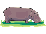 hipopotamo.gif