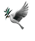 dove_with_olive_branch_md_wht[1].gif