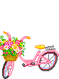 bicicleta1.gif