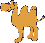camelo.gif