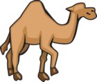 camelo.jpg