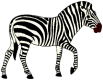 zebra.gif